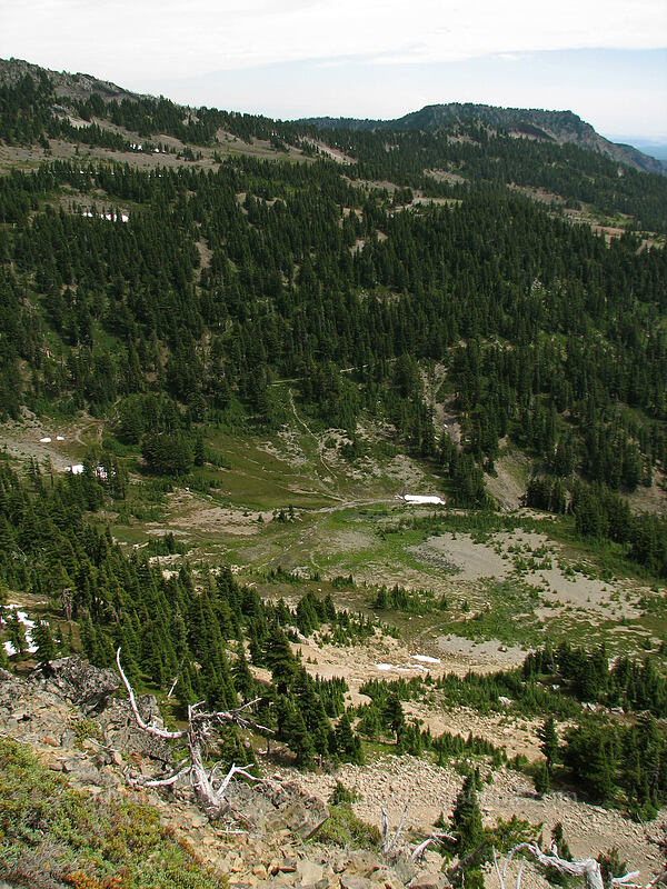 the bowl below Park Ridge [Park Butte, Mt. Jefferson Wilderness, Marion County, Oregon]