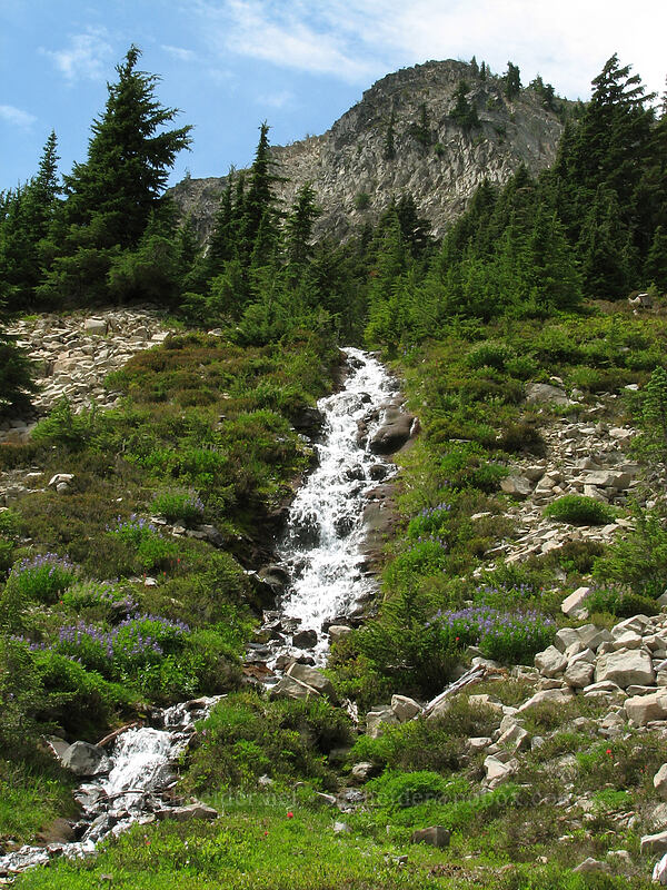 Park Butte & a small cascade [below Park Butte, Mt. Jefferson Wilderness, Marion County, Oregon]