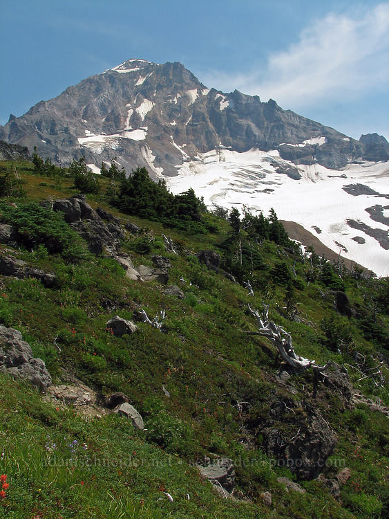 Mount Hood [McNeil Point, Mt. Hood Wilderness, Clackamas County, Oregon]