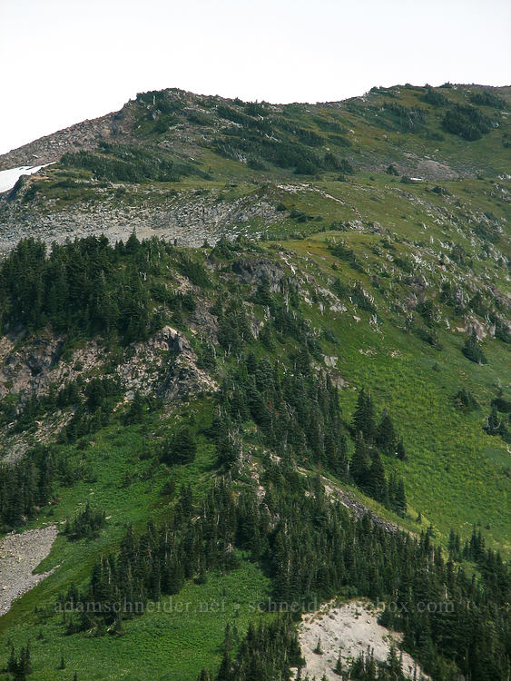 McNeil Point [Bald Mountain Ridge, Mt. Hood Wilderness, Clackamas County, Oregon]