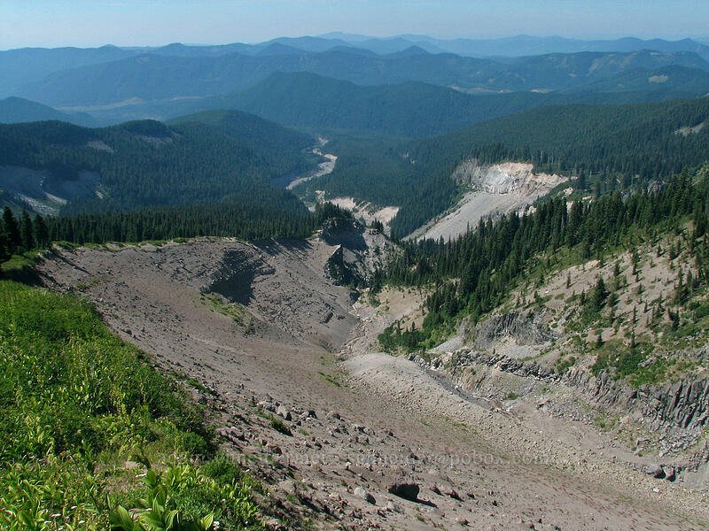 Sandy River Valley [Paradise Park, Mt. Hood Wilderness, Clackamas County, Oregon]