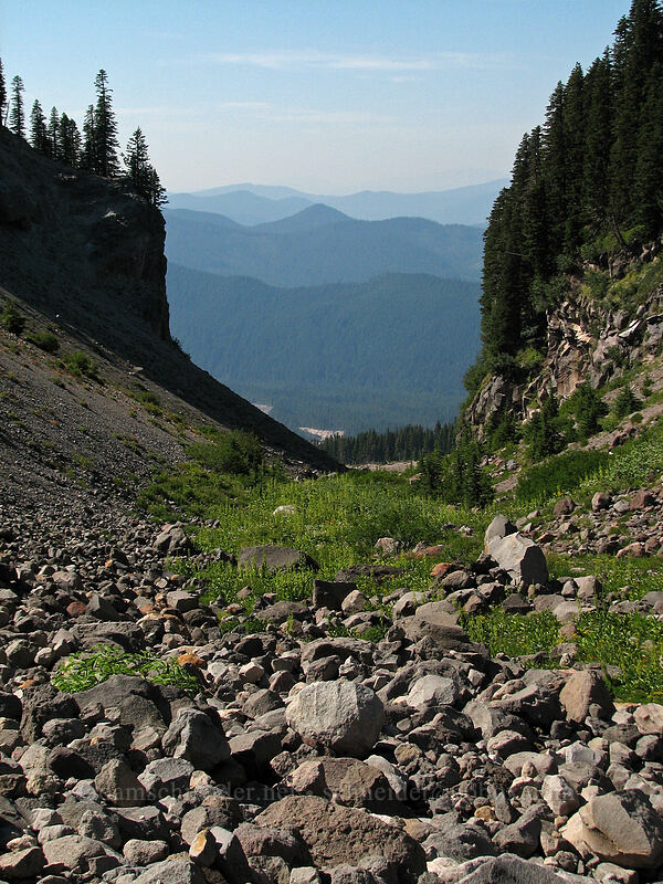 Rushingwater Canyon [Pacific Crest Trail, Mt. Hood Wilderness, Clackamas County, Oregon]