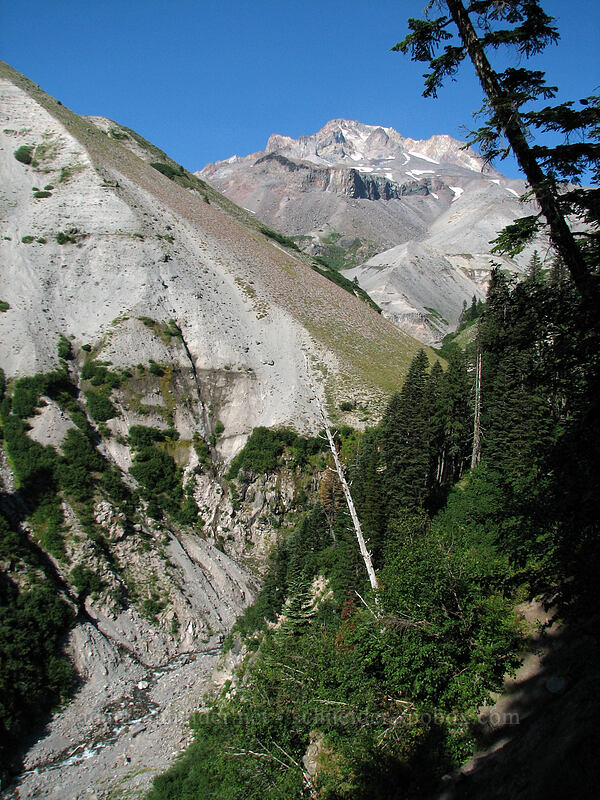 Zigzag Canyon [Pacific Crest Trail, Mt. Hood Wilderness, Clackamas County, Oregon]