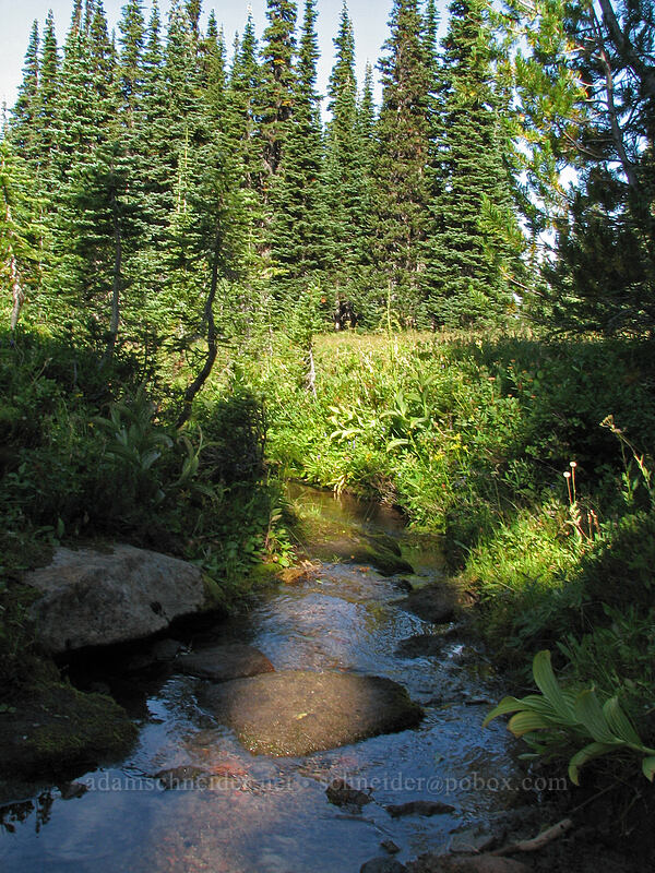 stream through a meadow [Killen Creek Trail, Mt. Adams Wilderness, Skamania County, Washington]