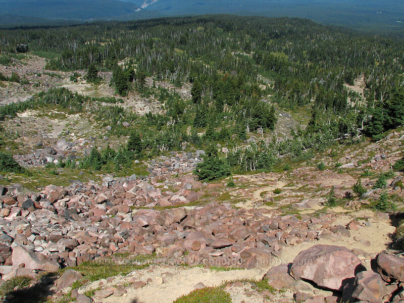 the trail [High Camp Trail, Mt. Adams Wilderness, Skamania County, Washington]