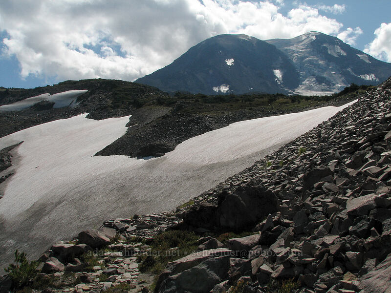 Mount Adams & snowfields [High Camp Trail, Mt. Adams Wilderness, Skamania County, Washington]
