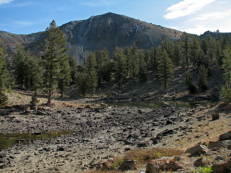 Mount Eddy [Deadfall Lakes, Shasta-Trinity National Forest, Trinity County, California]