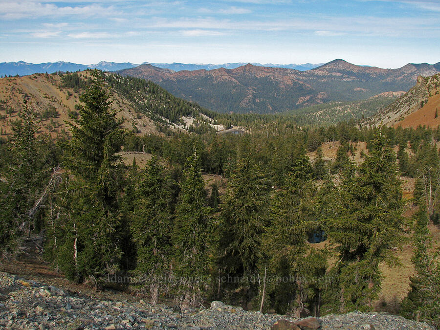 view to the west-northwest [Deadfall Summit, Shasta-Trinity National Forest, Trinity County, California]