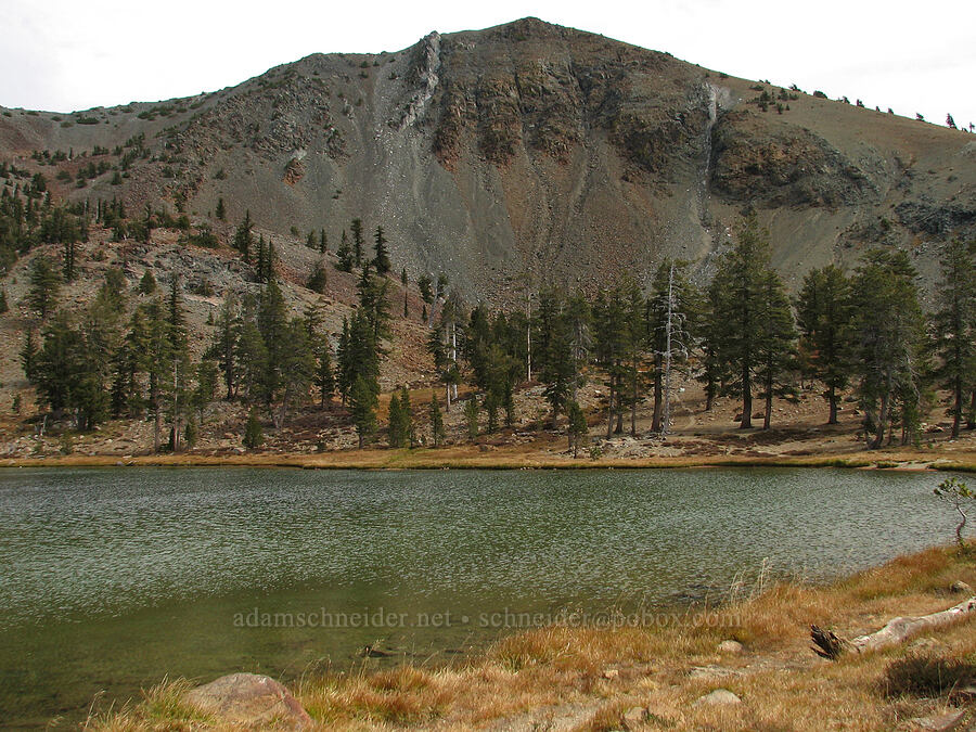 Mount Eddy [Sisson-Callahan Trail, Shasta-Trinity National Forest, Trinity County, California]