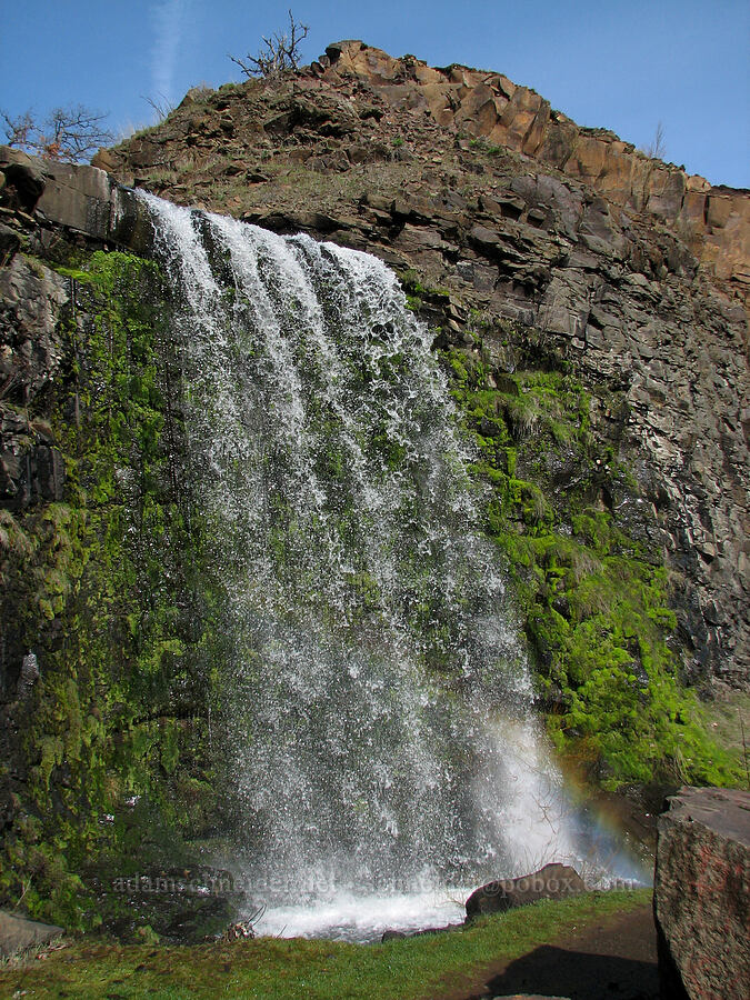 Lower Labyrinth Falls [Old Highway 8, Gifford Pinchot National Forest, Klickitat County, Washington]
