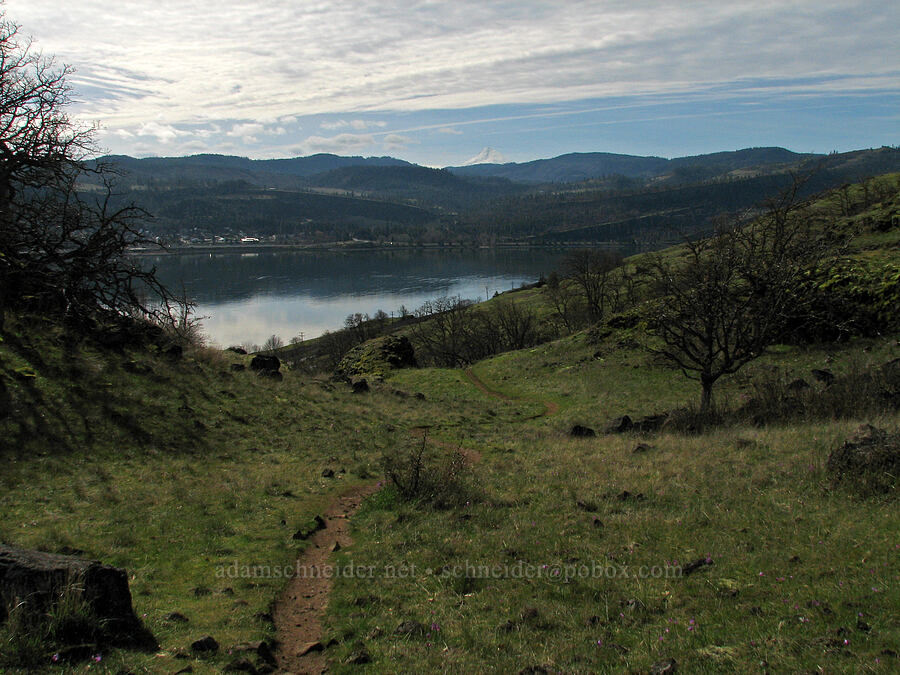 view toward Mt. Hood [The Labyrinth, Gifford Pinchot National Forest, Klickitat County, Washington]