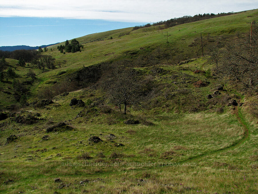 Labyrinth Trail [The Labyrinth, Gifford Pinchot National Forest, Klickitat County, Washington]