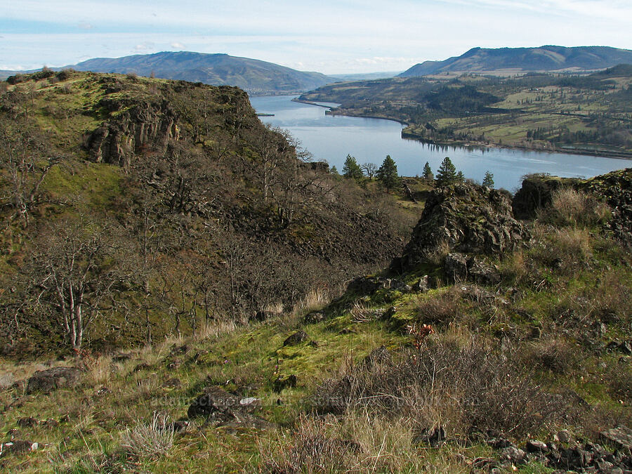 view to the east [The Labyrinth, Gifford Pinchot National Forest, Klickitat County, Washington]