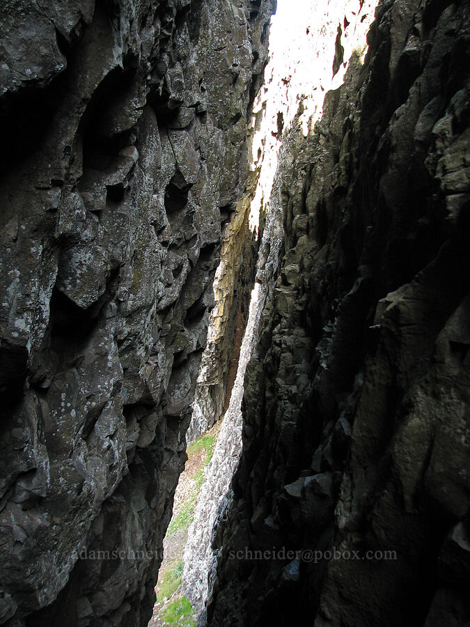 next to the rock arch [Catherine Creek, Gifford Pinchot National Forest, Klickitat County, Washington]