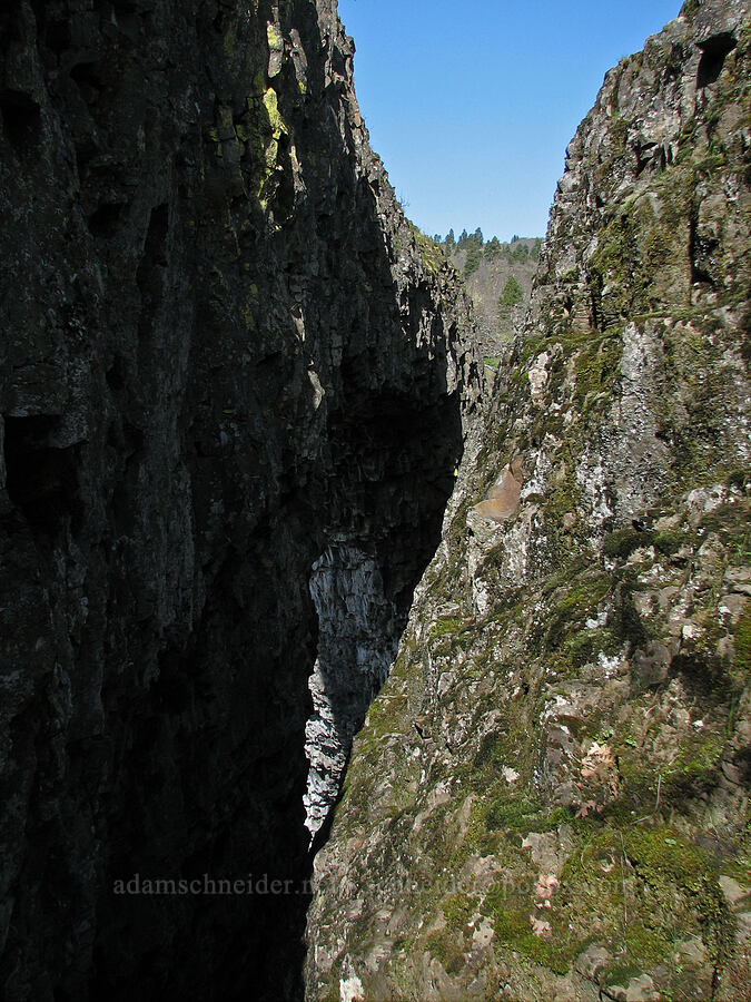side of the rock arch [Catherine Creek, Gifford Pinchot National Forest, Klickitat County, Washington]