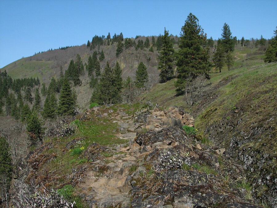 top of the rock arch [Catherine Creek, Gifford Pinchot National Forest, Klickitat County, Washington]