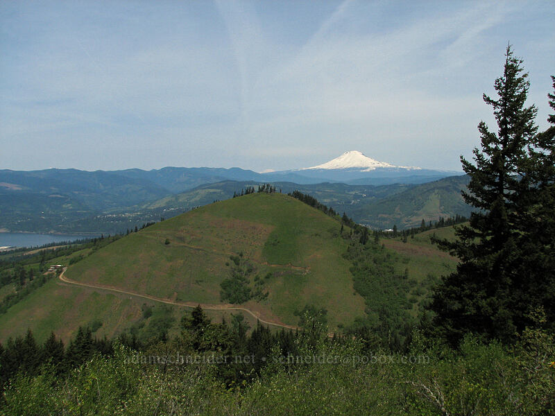 Mount Adams [Hood River Mountain, Hood River Valley, Hood River County, Oregon]