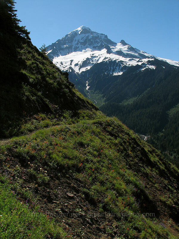 Bald Mountain & Mount Hood [Bald Mountain, Mt. Hood Wilderness, Clackamas County, Oregon]