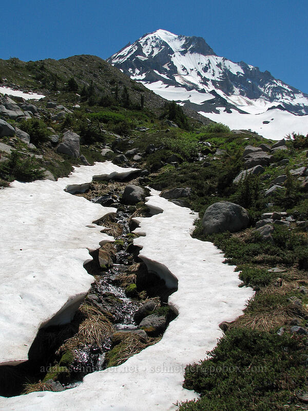 melting snow & Mount Hood [above Cairn Basin, Mt. Hood Wilderness, Hood River County, Oregon]