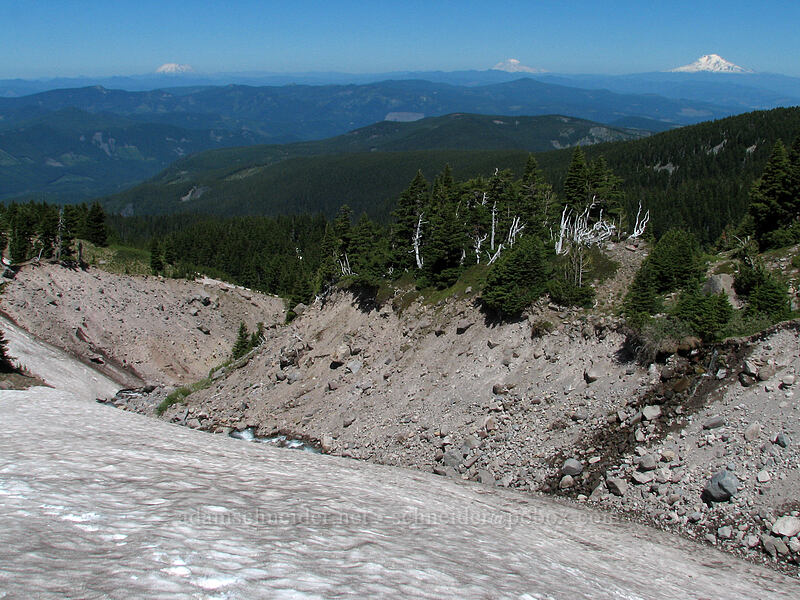 badly eroded ravine [above Cairn Basin, Mt. Hood Wilderness, Hood River County, Oregon]