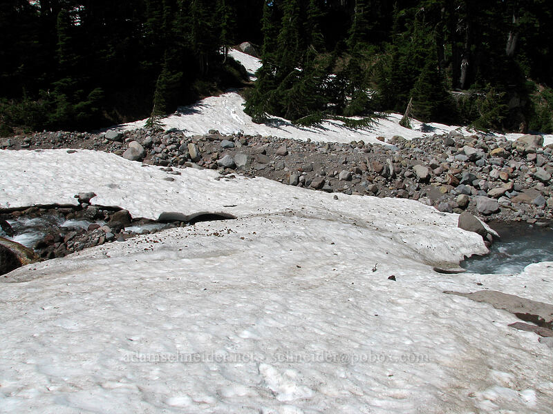 snow bridge across the east fork of Ladd Creek [Timberline Trail, Mt. Hood Wilderness, Hood River County, Oregon]