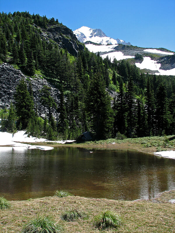 McNeil Ponds [Timberline Trail, Mt. Hood Wilderness, Hood River County, Oregon]