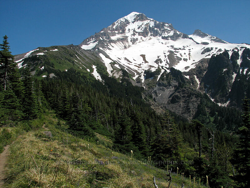 Mount Hood [Bald Mountain Ridge, Mt. Hood Wilderness, Clackamas County, Oregon]
