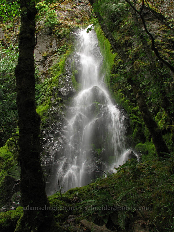 Summit Creek Falls [Summit Creek Canyon, Columbia River Gorge, Hood River County, Oregon]