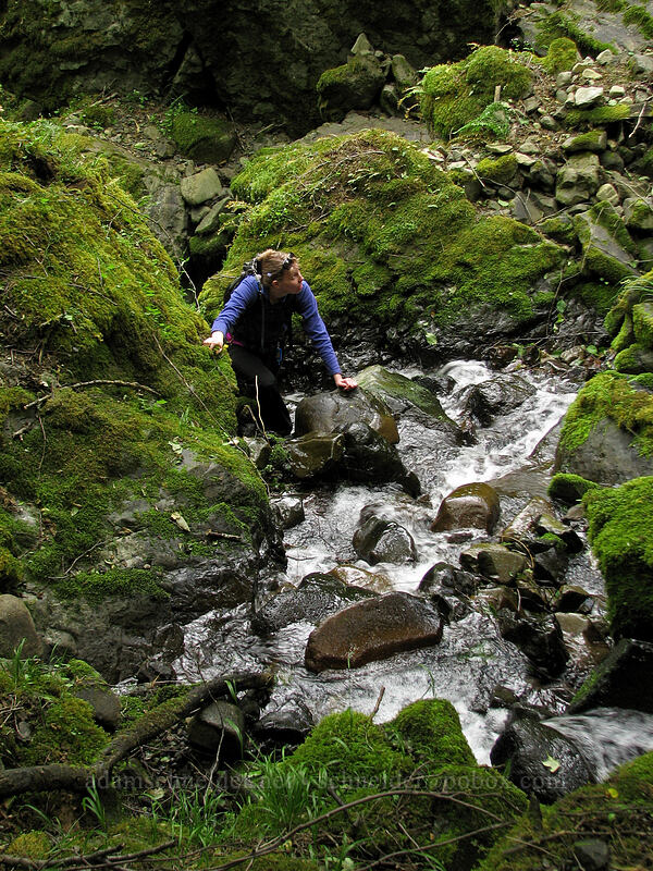 almost to the top [Summit Creek Canyon, Columbia River Gorge, Hood River County, Oregon]