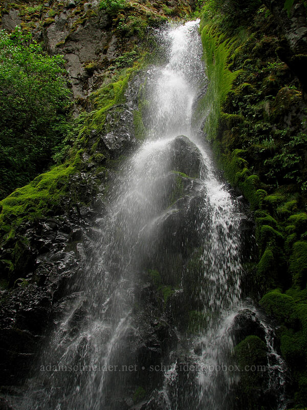 Summit Creek Falls [Summit Creek Canyon, Columbia River Gorge, Hood River County, Oregon]