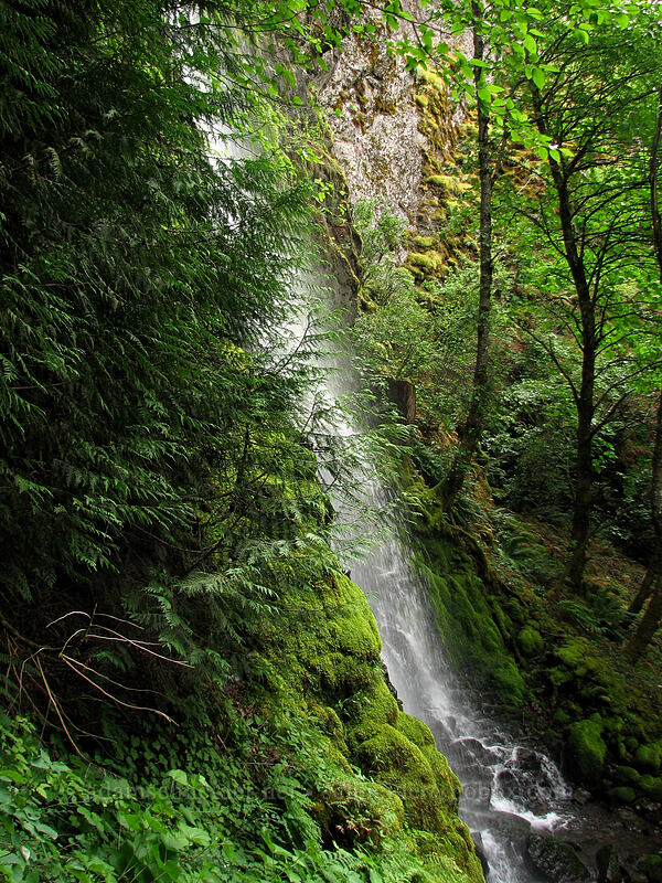 Summit Creek Falls [Summit Creek Canyon, Columbia River Gorge, Hood River County, Oregon]