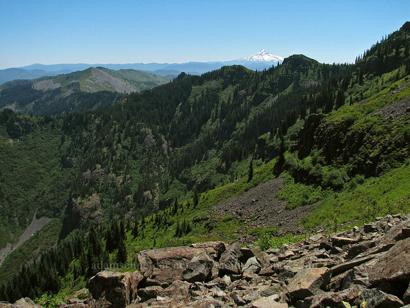 east side of Silver Star Mountain & Mt. Hood [Ed's Trail, Silver Star Mountain, Gifford Pinchot Nat'l Forest, Skamania County, Washington]