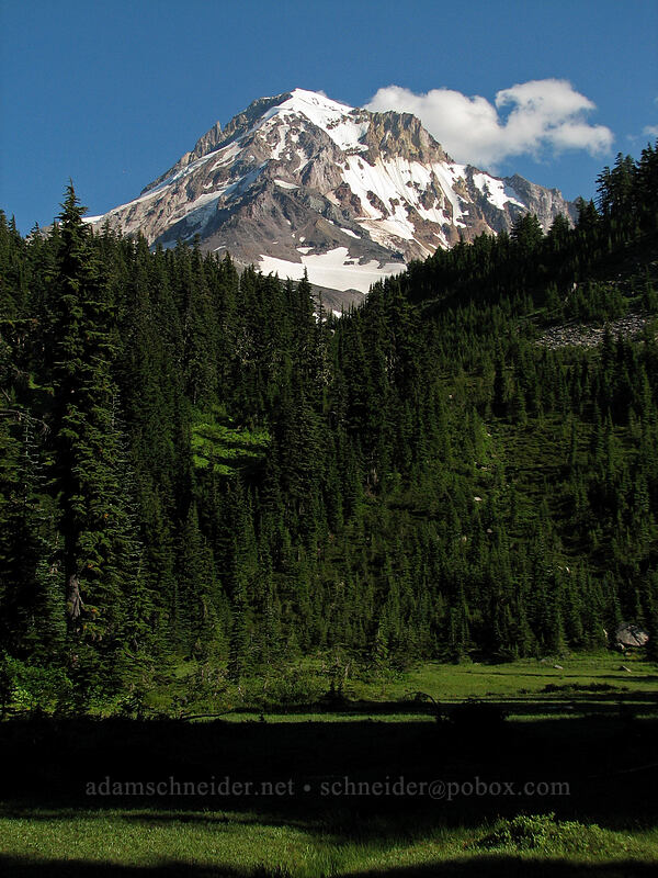 Mount Hood [Eden Park, Mt. Hood Wilderness, Hood River County, Oregon]