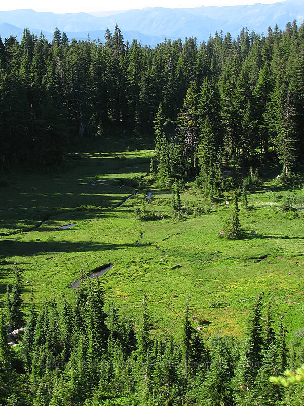 Eden Park [above Eden Park, Mt. Hood Wilderness, Hood River County, Oregon]