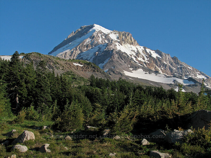 Mount Hood [Timberline Trail, Mt. Hood Wilderness, Hood River County, Oregon]
