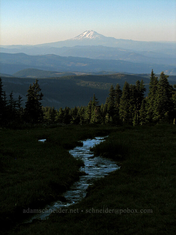 Mt. Adams & a small stream [Wy'east Basin, Mt. Hood Wilderness, Hood River County, Oregon]