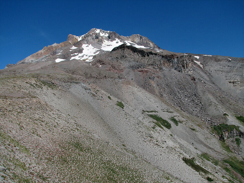 Mount Hood & Mississippi Head [west rim of Zigzag Canyon, Mt. Hood Wilderness, Clackamas County, Oregon]