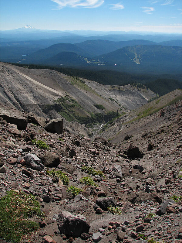 looking down Zigzag Canyon [west rim of Zigzag Canyon, Mt. Hood Wilderness, Clackamas County, Oregon]