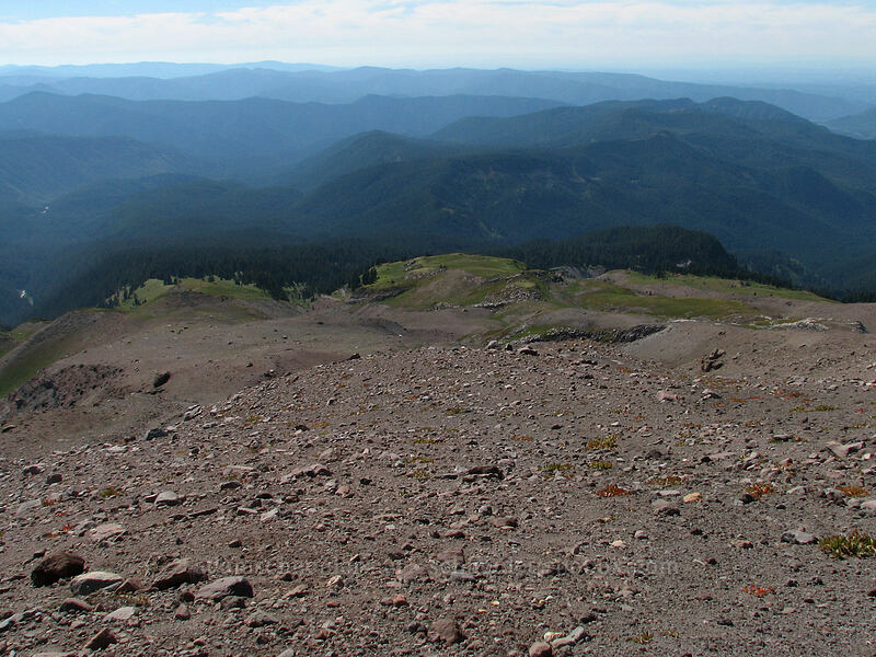 all three lobes of Paradise Park [west rim of Zigzag Canyon, Mt. Hood Wilderness, Clackamas County, Oregon]