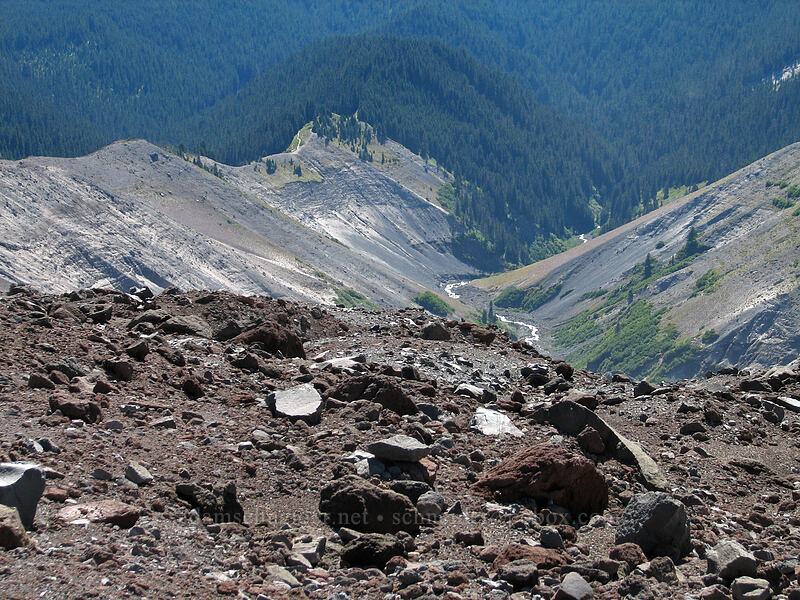 looking down Zigzag Canyon [above Zigzag Canyon, Mt. Hood Wilderness, Clackamas County, Oregon]