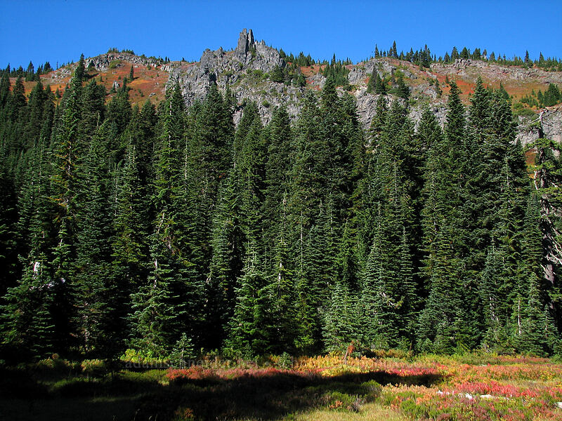 Bird Mountain [Indian Heaven Trail, Indian Heaven Wilderness, Skamania County, Washington]