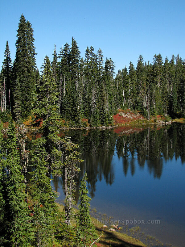 fall colors at Cultus Lake [Indian Heaven Trail, Indian Heaven Wilderness, Skamania County, Washington]