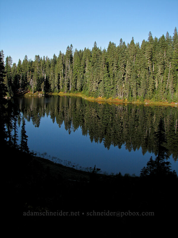Cultus Lake [Indian Heaven Trail, Indian Heaven Wilderness, Skamania County, Washington]