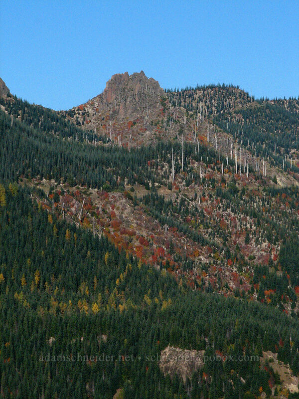 ridge west of Clearwater Creek [Forest Road 25, Gifford Pinchot Nat'l Forest, Skamania County, Washington]