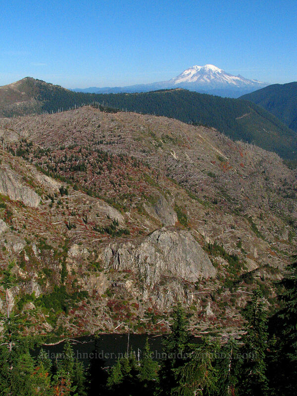 Mount Rainier & Grizzly Lake [Boundary Trail, Mt. St. Helens National Volcanic Monument, Skamania County, Washington]