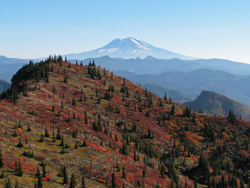 Bear Pass & Mount Adams [Boundary Trail, Mt. St. Helens National Volcanic Monument, Skamania County, Washington]
