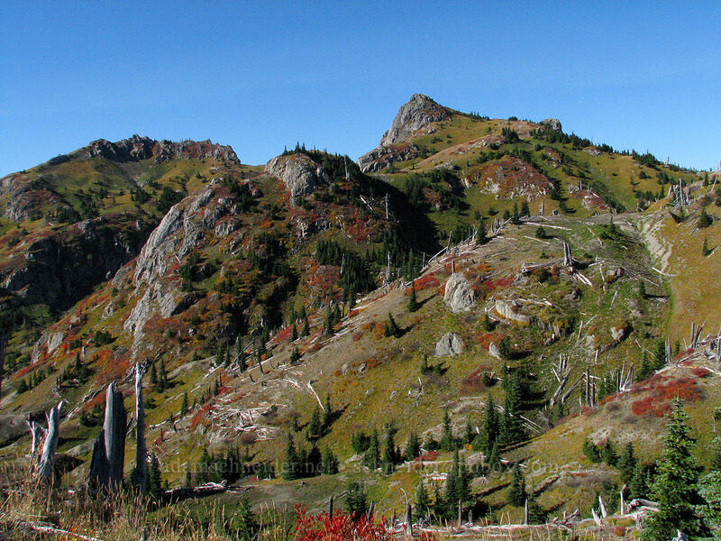 Mt. Margaret & nearby peaks [Boundary Trail, Mt. St. Helens National Volcanic Monument, Skamania County, Washington]