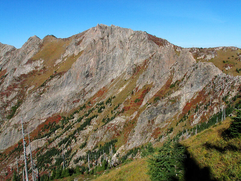 Mt. Whittier [Mt. Whittier Trail, Mt. St. Helens National Volcanic Monument, Skamania County, Washington]