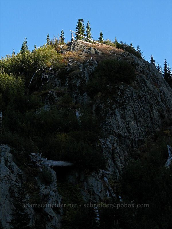 last daylight on a ridge [Boundary Trail, Gifford Pinchot Nat'l Forest, Skamania County, Washington]