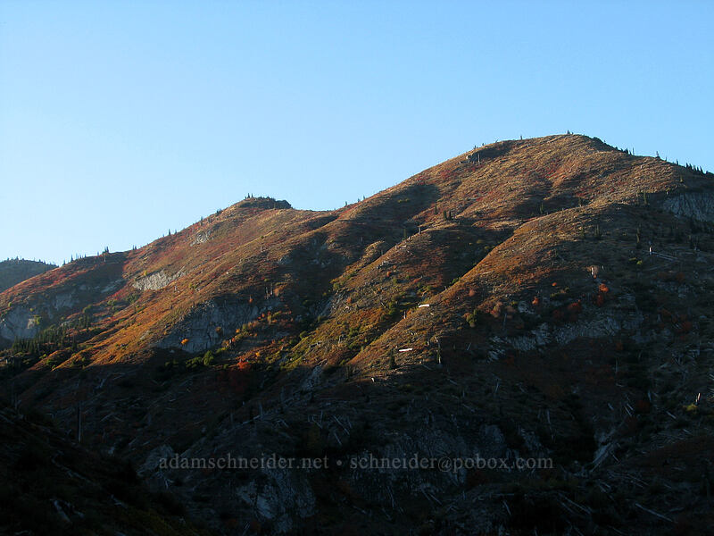 last light on ridgetops [Boundary Trail, Gifford Pinchot Nat'l Forest, Skamania County, Washington]